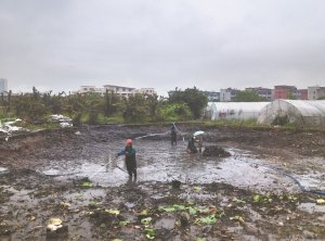 嘉善河道鱼塘清淤